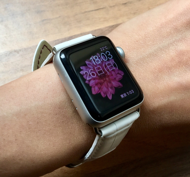 Apple watch
