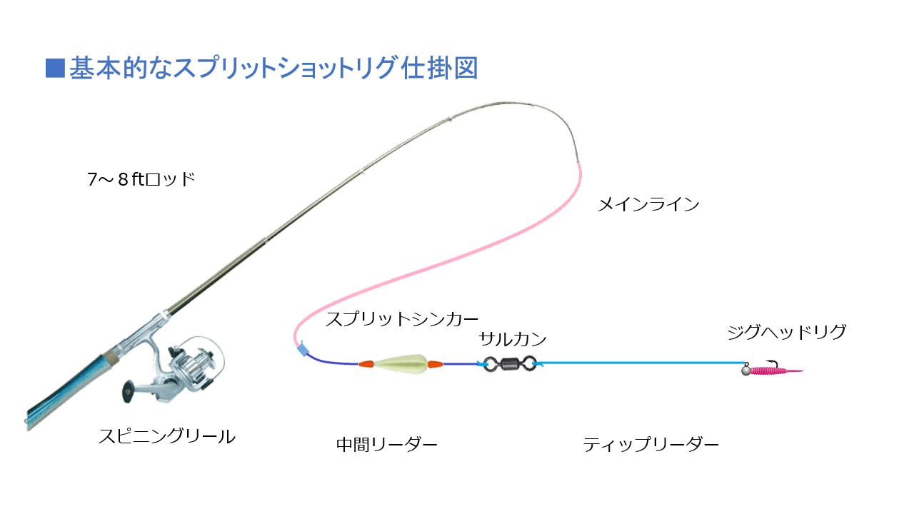スプリットショットリグ仕掛け図