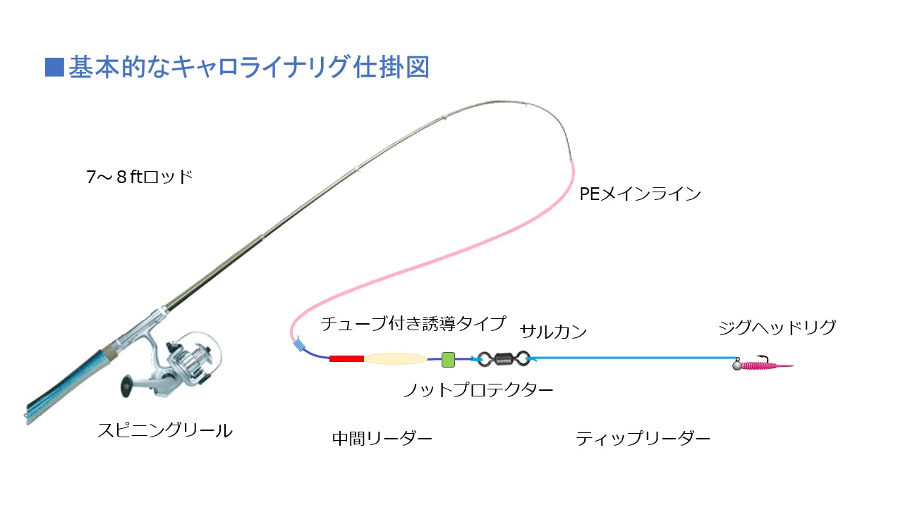 キャロライナリグ仕掛け図