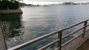 八景島駅海の公園側