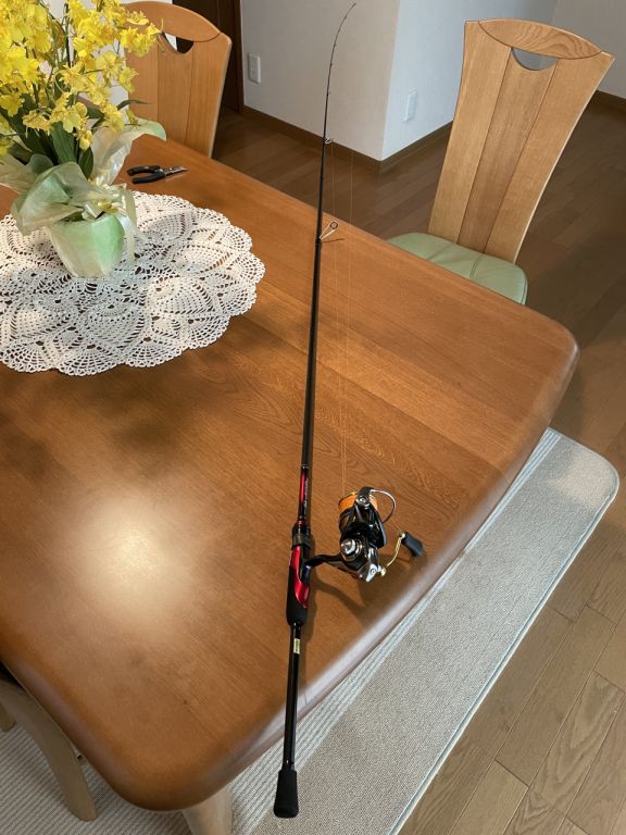 Fシステム FGノット