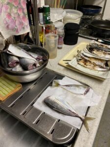 横浜バチコンアジング 2022.9.12