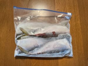 バチコンアジング 2022.9.12