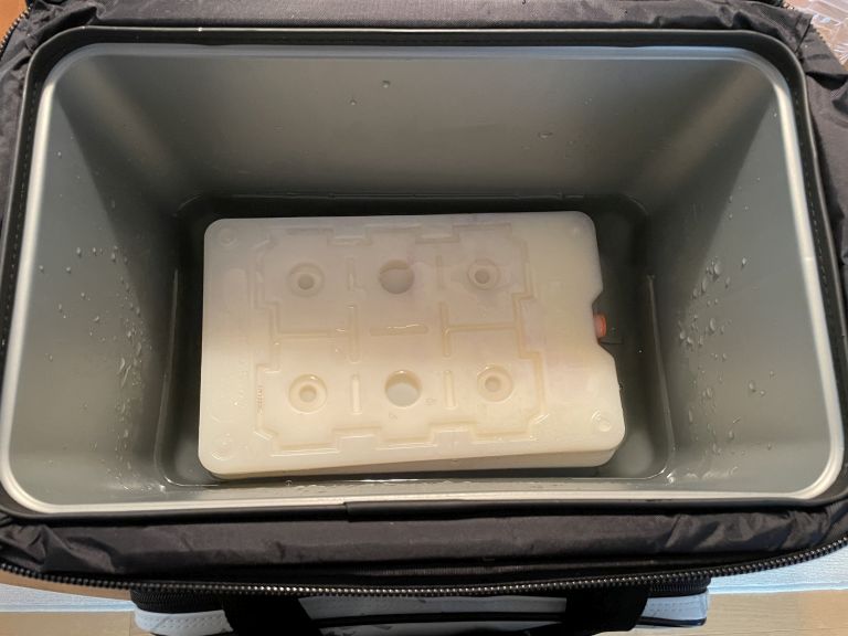 バチコンアジング 2022.11.14