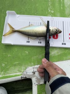 バチコンアジング 2022.11.14