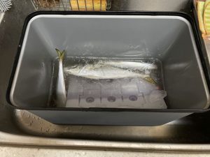 バチコンアジング 2022.11.14