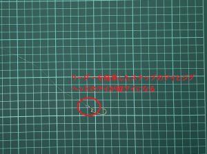 ナイトスナップ