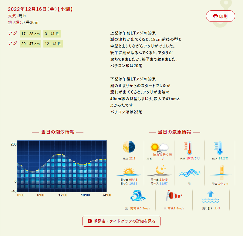 横浜バチコンアジング 2022.12.16 釣果