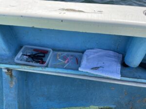 20230320 バチコンアジング