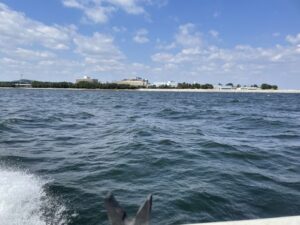 バチコンアジング 20230403