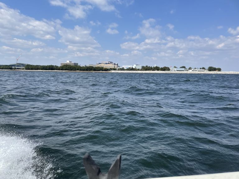 バチコンアジング 20230403