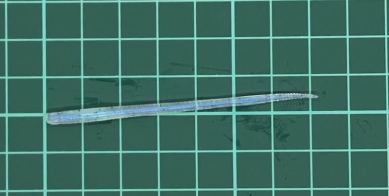 エコギア アジ職人 ソフトサンスン 生シラスブラックFLK.