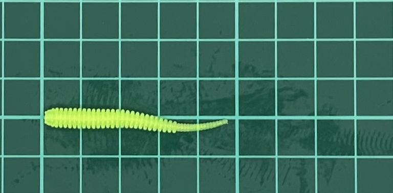 レイン アジアダー 2インチ グローパールチャート