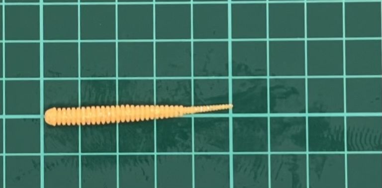 レイン アジアダー 2インチ グロー冷凍ミカン