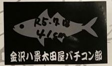 金沢八景太田屋バチコン部シルバー