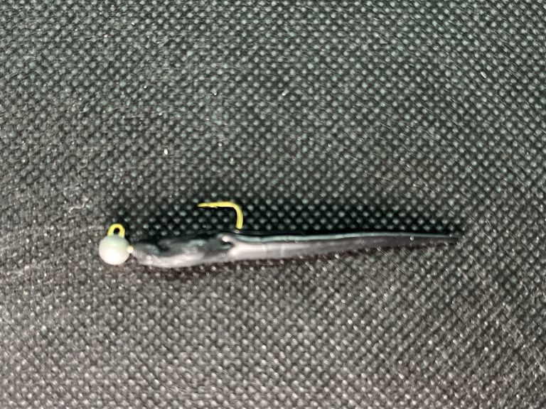 月下美人 シラスビーム 2インチ イカゴロブラック