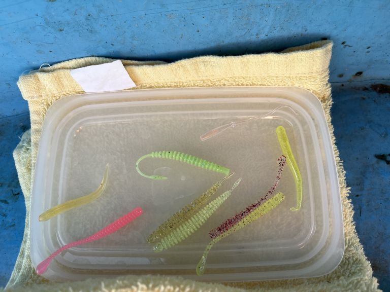 バチコン 太田屋 2024.04.02 午前アジ