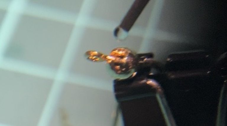 土肥富 NoJGH41 #6 金+FC 0.64mm +タングステンビーズ 3.3mm