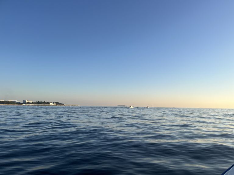 2024.12.03 太田屋 午前アジ