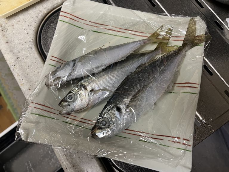 2025.02.24 太田屋 午前/午後アジ