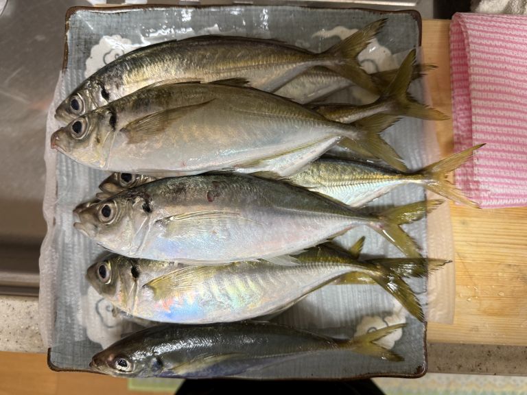 2025.04.28 太田屋 午前アジ