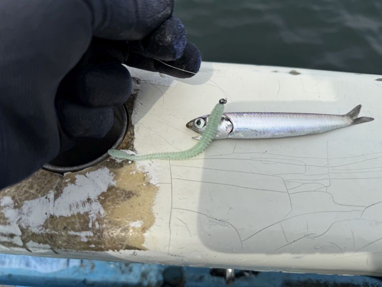 2025.05.21 太田屋 午前/午後アジ