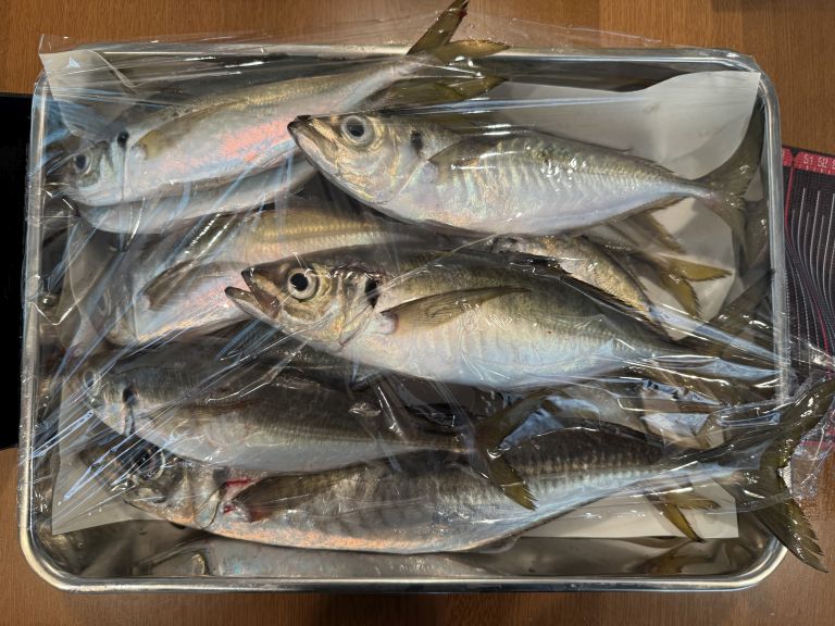 2025.06.30 太田屋 午前アジ