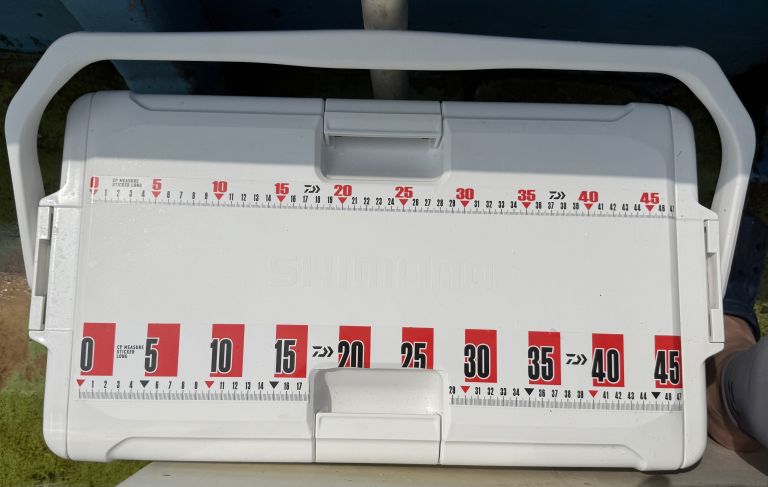 2025.08.25 太田屋 ショートアジ