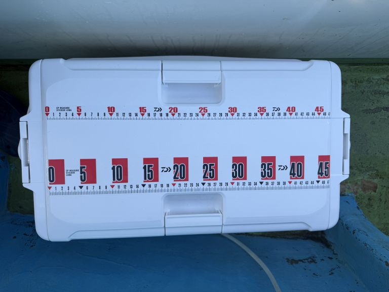 2025.09.08 太田屋 ショートアジ