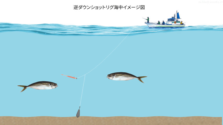 逆ダンリグ海中イメージ