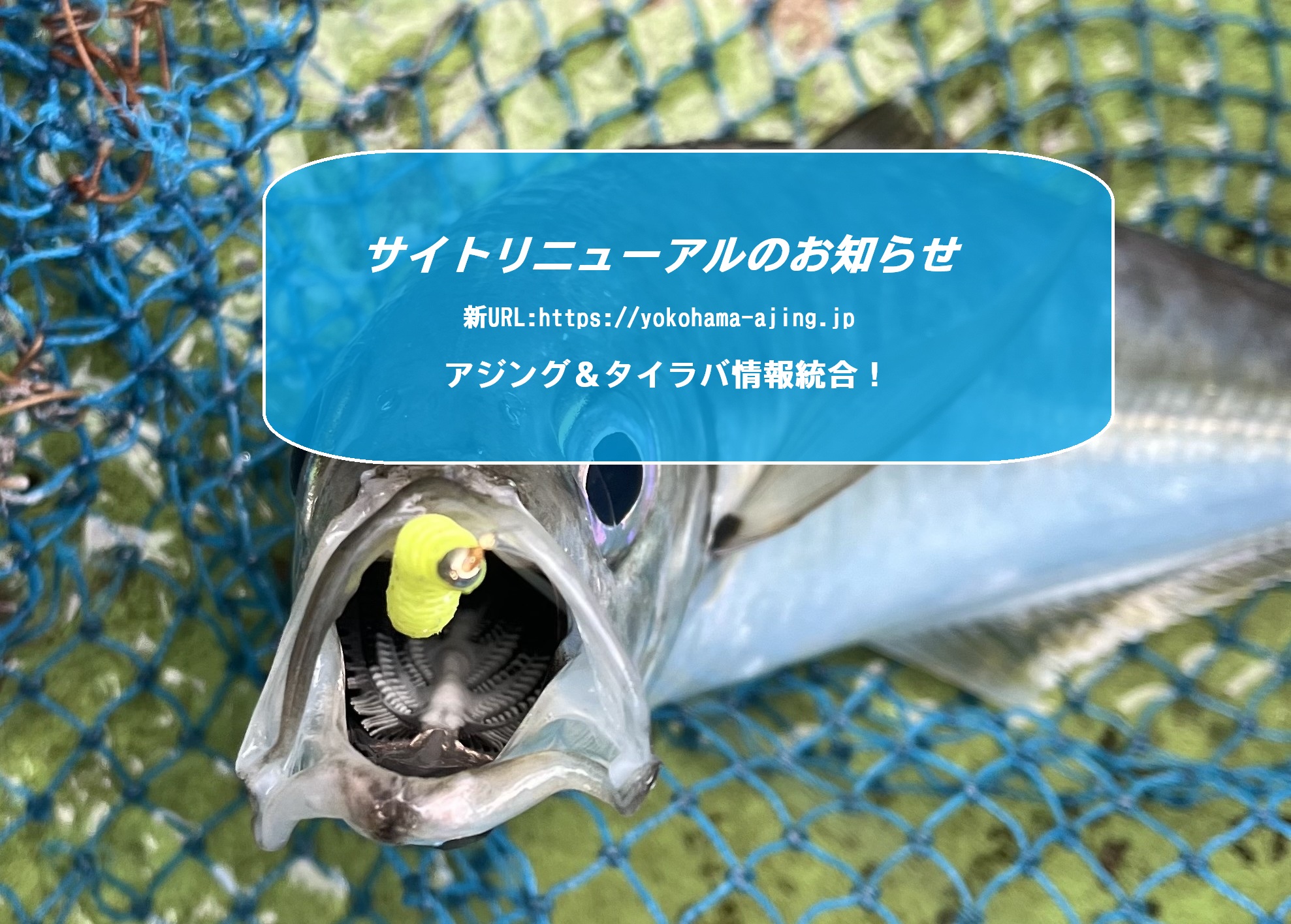 サイトリニューアル